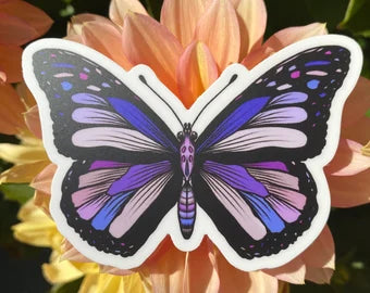Magical Butterfly Rainbow Sticker Decal Butterflies Stickers
